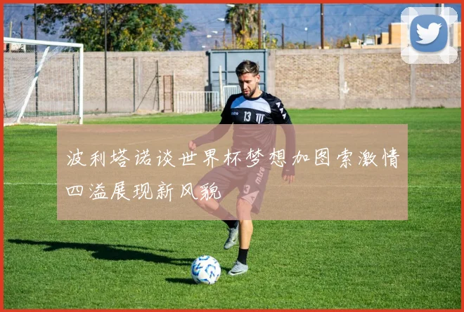 波利塔诺谈世界杯梦想加图索激情四溢展现新风貌