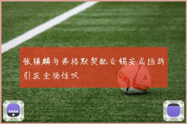 张镇麟与弗格默契配合锡安式挡拆引发全场惊叹